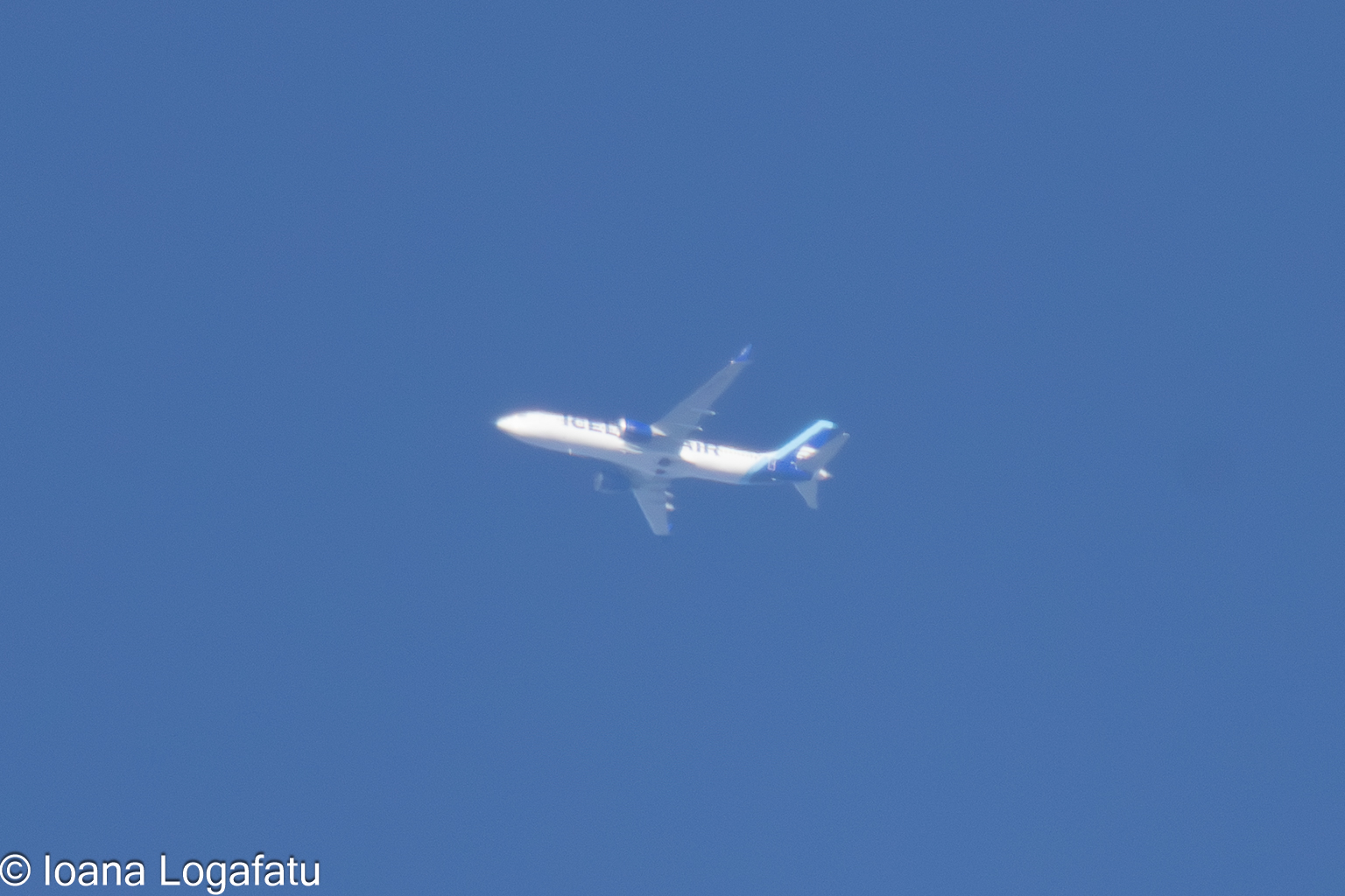 Soaring high above a clear blue sky in daytime